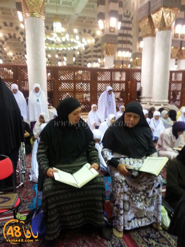 mo3tmreen yfasafa3 (16).JPG